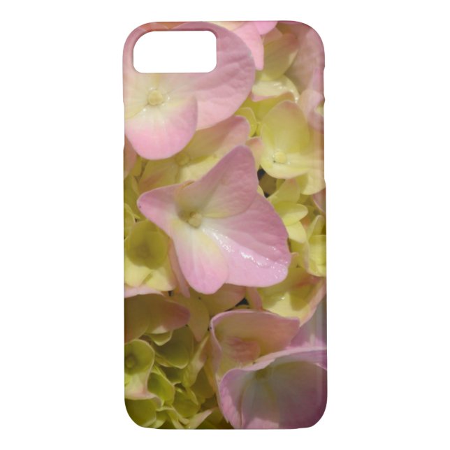 Coques Case-Mate iPhone Crème rose Hydrangeas jaune rose vert floral (Dos)