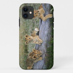Coque Case-Mate Pour iPhone Cubes de lion sur le journal