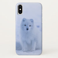 Cute Arctic Fox sur Snowy Winter Arrière - plan