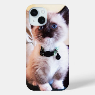 Coque Pour iPhone 15 Cute Blue Oyed Masqué Kitten photo