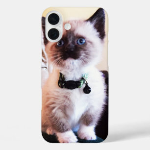 iPhone 16 Plus Case Cute Blue Oyed Masqué Kitten photo