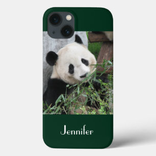 Coques Pour iPhone Cute Giant Panda Green Background, Name,