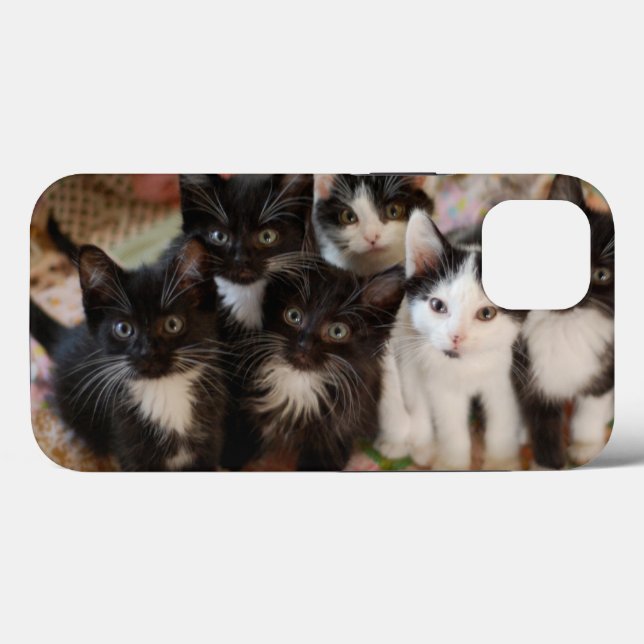 Coques Case-Mate iPhone Cutest Baby Animals | Black & White Kittens (Verso (horizontal))