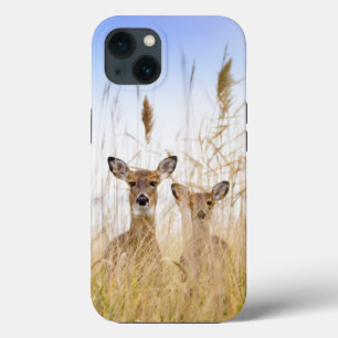 Case-Mate iPhone Case Cutest Baby Animals   Two Young White Tailed Deer