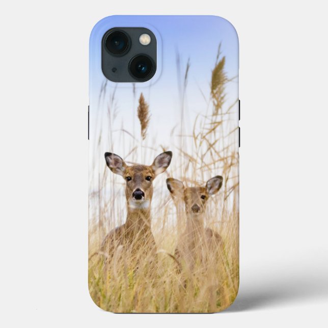 Coques Case-Mate iPhone Cutest Baby Animals | Two Young White Tailed Deer (Verso)