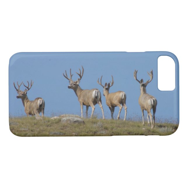 Coques Case-Mate iPhone D9 Mule Deer in Velvet (Dos (Horizontal))