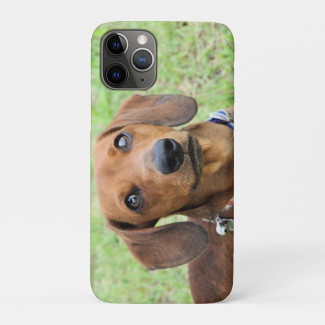 Coques Case-Mate iPhone Dachshund (Dos)