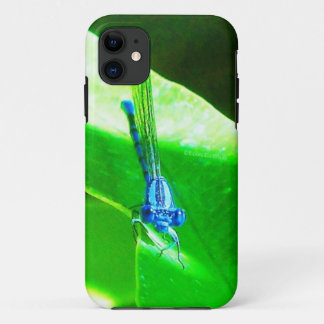 Case-Mate iPhone Case Damselfly