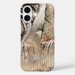 Coque Pour iPhone 16 Date Palm Tree Trunk Texture Fermer Photo Image