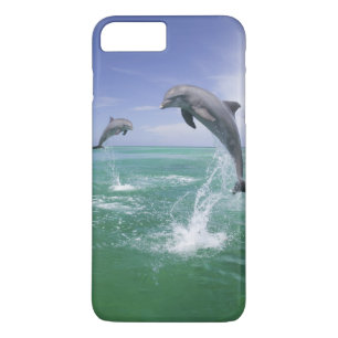 Coque iPhone 7 Plus Dauphins à gros nez Tursiops truncatus