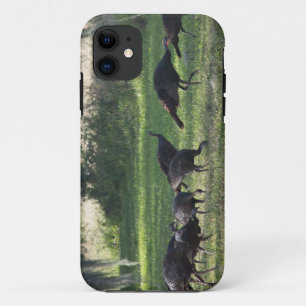 Etui iPhone Case-Mate Déchets sauvages sur l'herbe Photo
