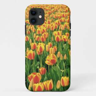 Coque Case-Mate Pour iPhone Des tulipes printanières fleurissent devant la vi