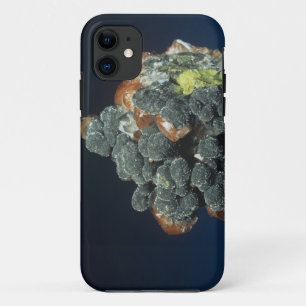 Case-Mate iPhone Case Descloizite sur la calcite