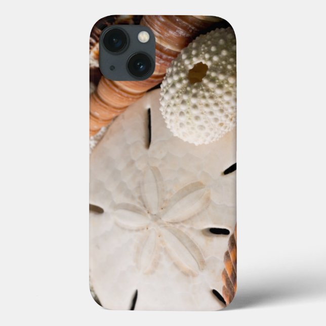 Coques Case-Mate iPhone Détail de coquillages du monde entier (Verso)