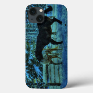 Etui iPhone 13 Deux Chevaux de Ranch Jouer à la nuit en hiver