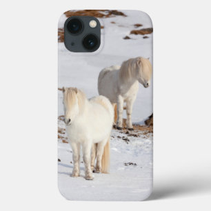 Etui iPhone 13 Deux chevaux islandais blancs