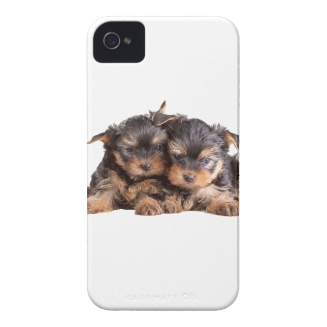 Coques Case-Mate iPhone Deux Chiots Yorkie (Dos)
