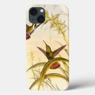 Etui iPhone 13 Deux colibris colorés visant pour la même fleur