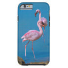 Deux Flamants roses roses