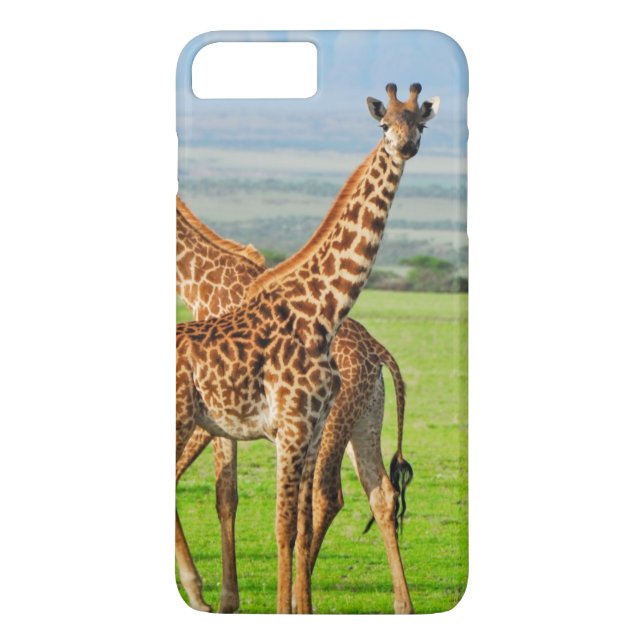 Coques Case-Mate iPhone Deux girafes (Dos)