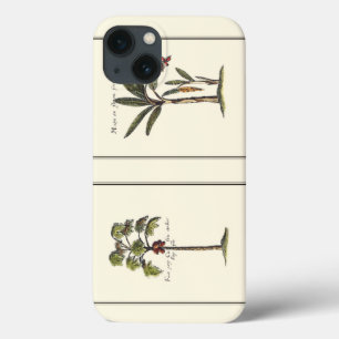 Coques Pour iPhone Deux mini palmiers encadrés