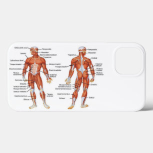 Case-Mate iPhone Case Diagrammes musculaires cadeaux101