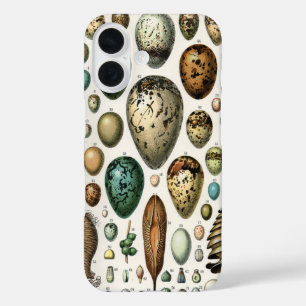 Coque Pour iPhone 16 Divers types d'Oeuf Illustration scientifique