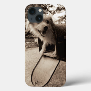 Etui iPhone Case-Mate Dog Inside a Mailbox