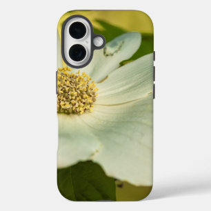 Coque Pour iPhone 16 Dogwood