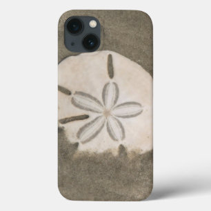 Etui iPhone Case-Mate Dollar de sable (Echinarachnius parma)