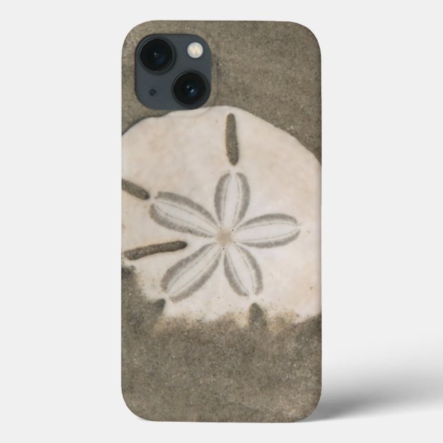 Coques Case-Mate iPhone Dollar de sable (Echinarachnius parma) (Verso)
