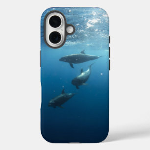 Coque Pour iPhone 16 Dolphin Family