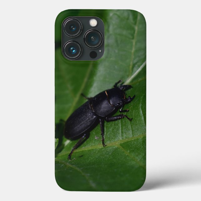 Coques Case-Mate iPhone Dorcus parallelipipedus, le moindre dendroctone du (Verso)