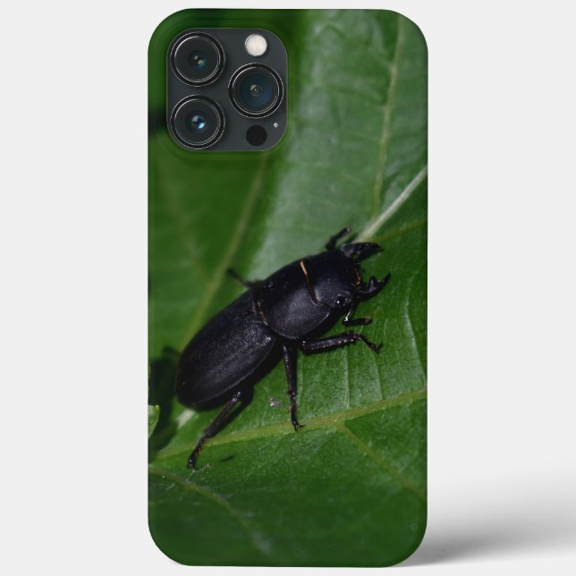 Coques Case-Mate iPhone Dorcus parallelipipedus, le moindre dendroctone du (Verso)