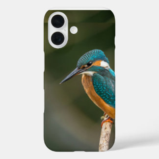 Coque Pour iPhone 16 Dossier de téléphone mobile