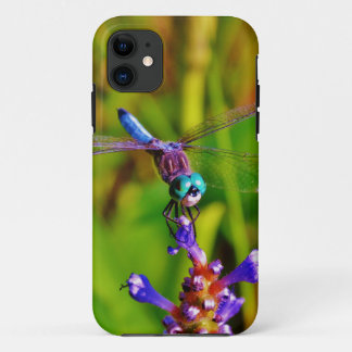 Coque iPhone 11 Dragonfly