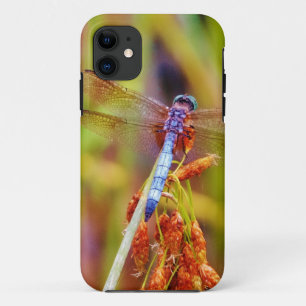 Coques Pour iPhone Dragonfly turquoise sur le carex