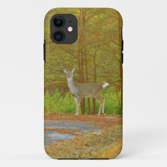 COQUES Case-Mate iPhone DSCF4041.JPG (Dos)
