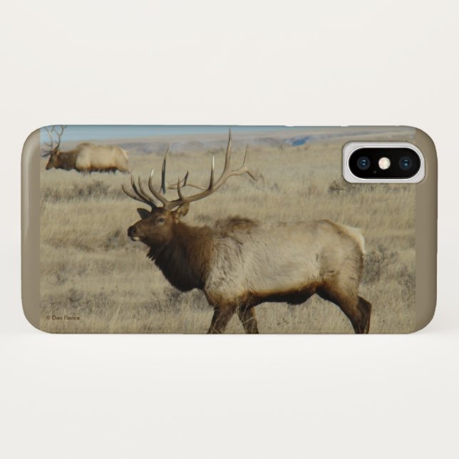 Coques Case-Mate iPhone E55 Élan mâle géant (Dos (Horizontal))