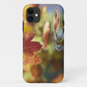 Case-Mate iPhone Case É.-U., Washington, Bellingham, Gros plan sur l'aut