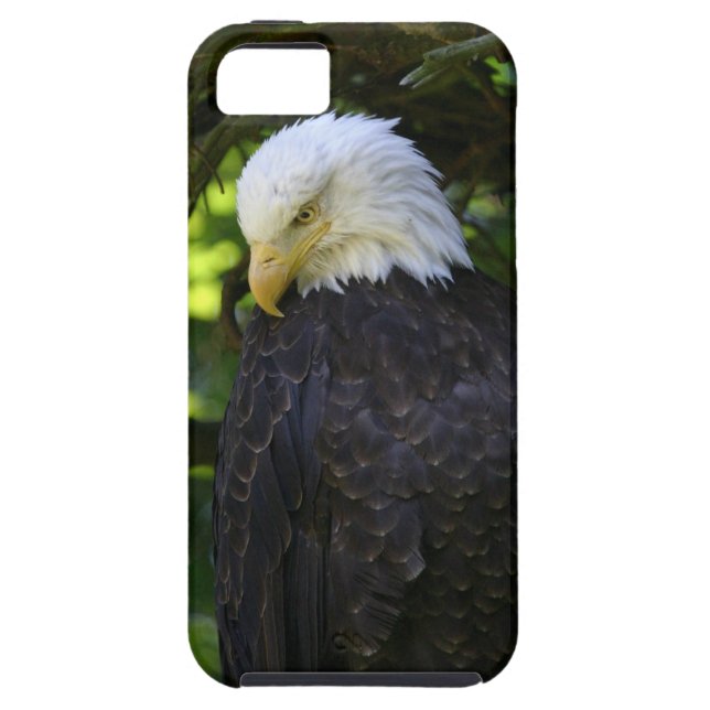 Coques Case-Mate iPhone Eagle chauve (Dos)