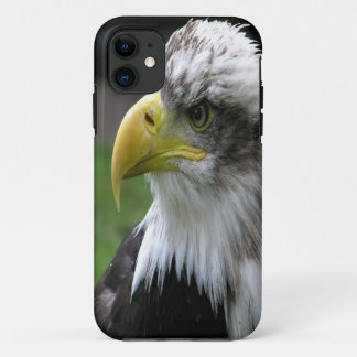 Case-Mate iPhone Case Eagle chauve