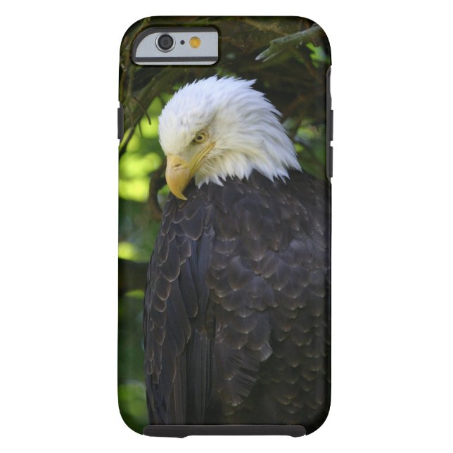 Coques Case-Mate iPhone Eagle chauve (Dos)