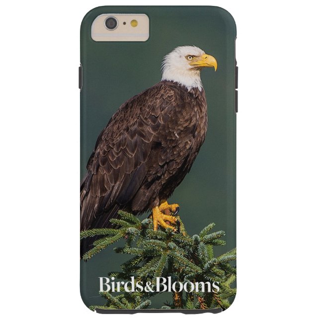Coques Case-Mate iPhone Eagle chauve majestueux (Dos)