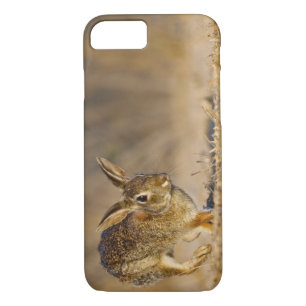 Etui iPhone Case-Mate Eastern cottontail rabbit hopping