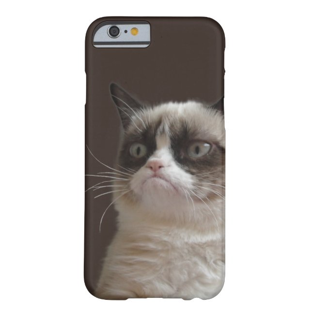 Coques Case-Mate iPhone Éclat de chat grincheux (Dos)