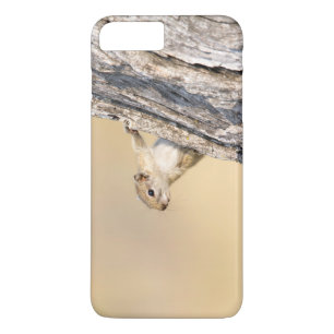 Coques Pour iPhone Écureuil