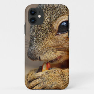 Case-Mate iPhone Case Écureuil 5