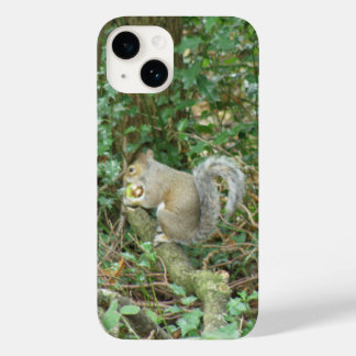 Coques Pour iPhone Écureuil avec maïs