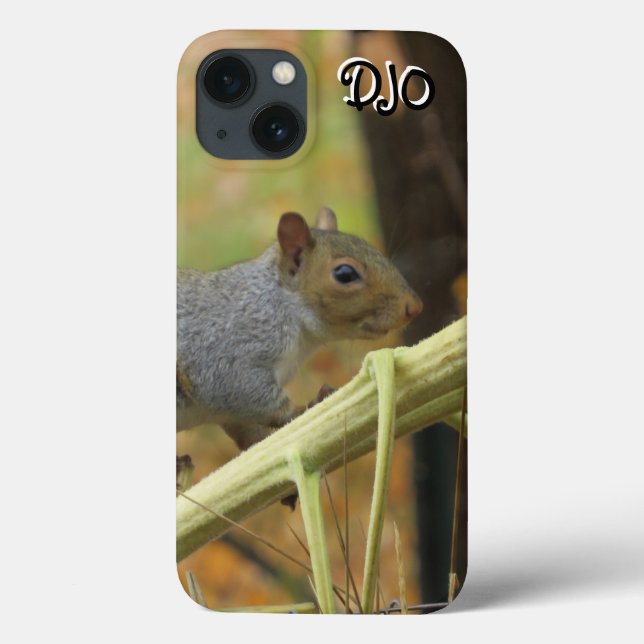 Coques Case-Mate iPhone Écureuil gris Coque-coque iphone (Verso)